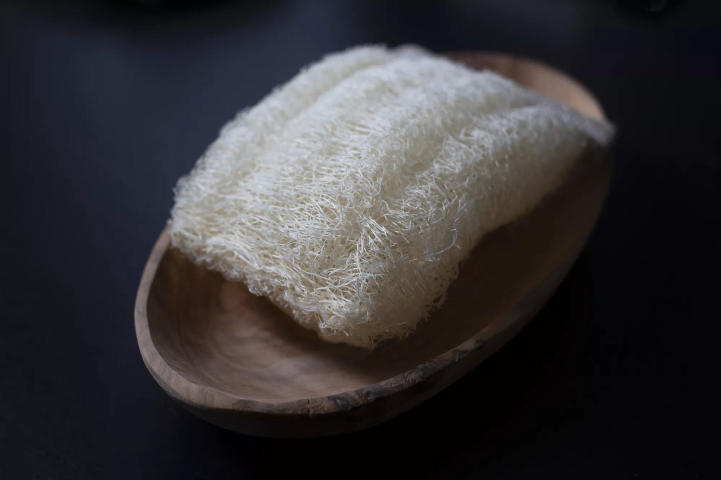 Luffa Sponge